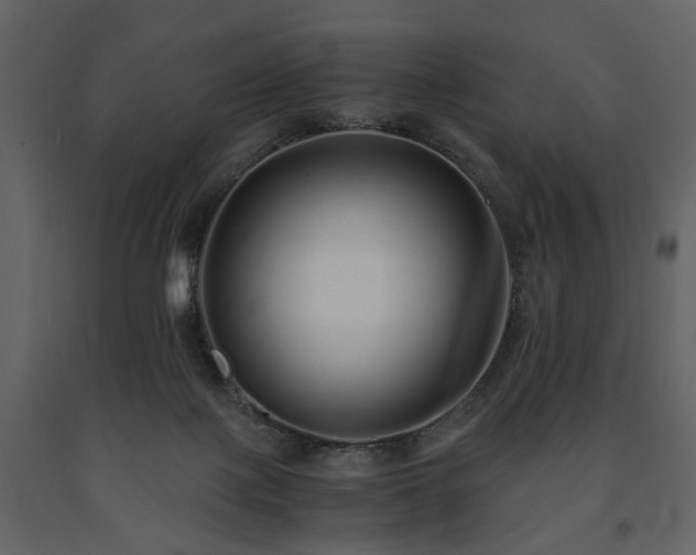 X0000091680075200708231426