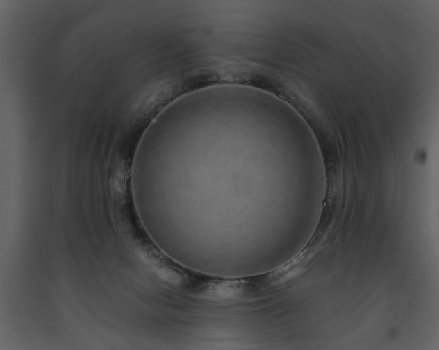 X0000091680078200708231427