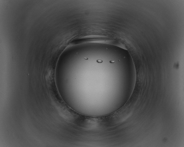 X0000091680079200708231427
