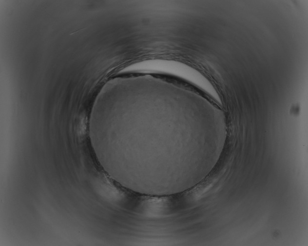 X0000091680081200708231427