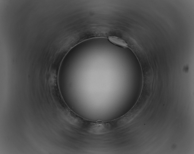 X0000091680083200708231427