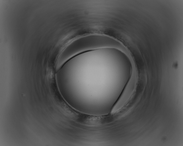 X0000091680084200708231427