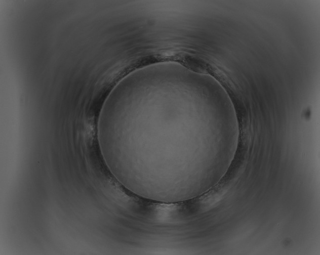 X0000091680085200708231427