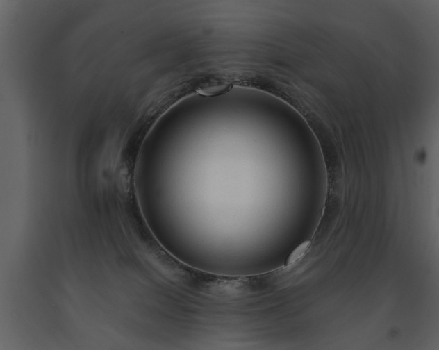 X0000091680086200708231427