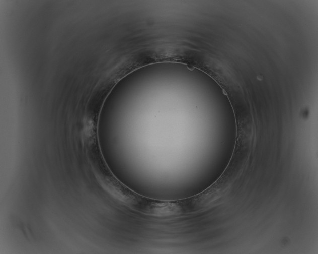 X0000091680087200708231427