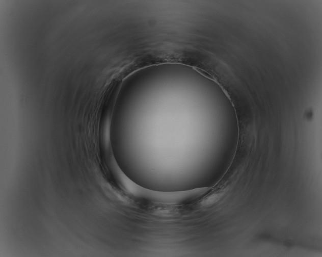 X0000091680088200708231427
