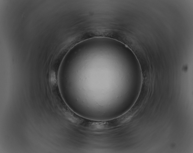 X0000091680089200708231427