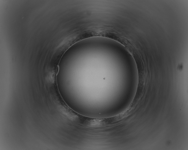 X0000091680090200708231427