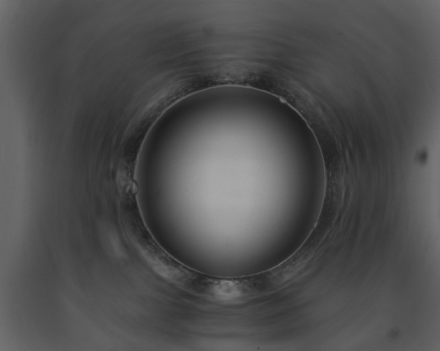 X0000091680091200708231427