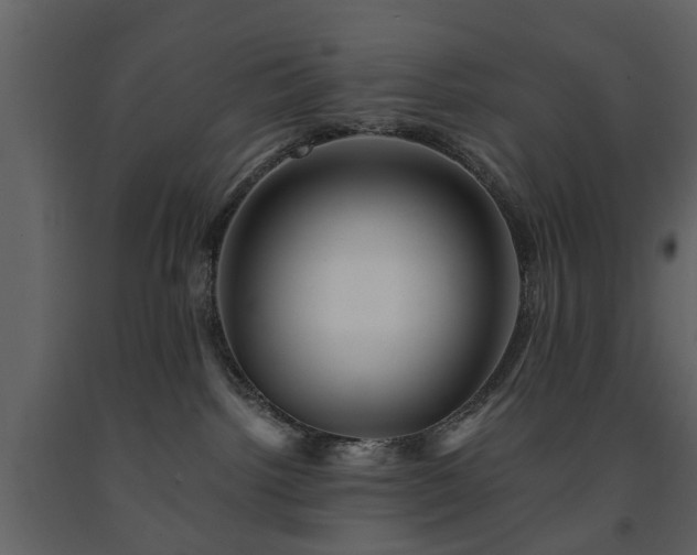 X0000091680092200708231427