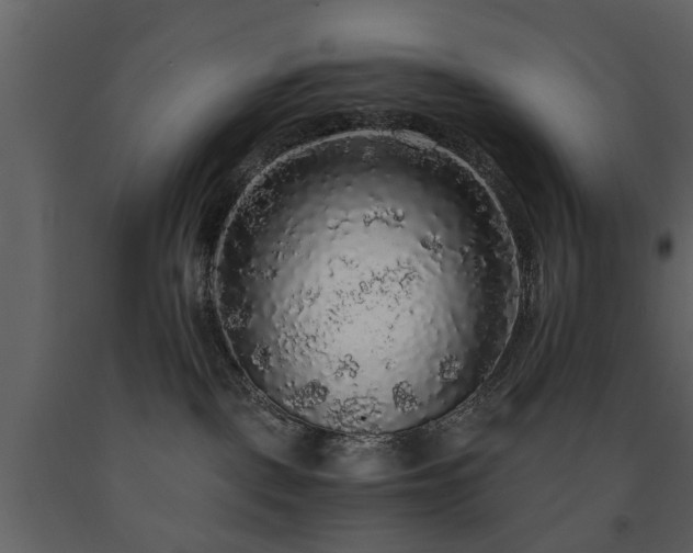 X0000091680093200708231427