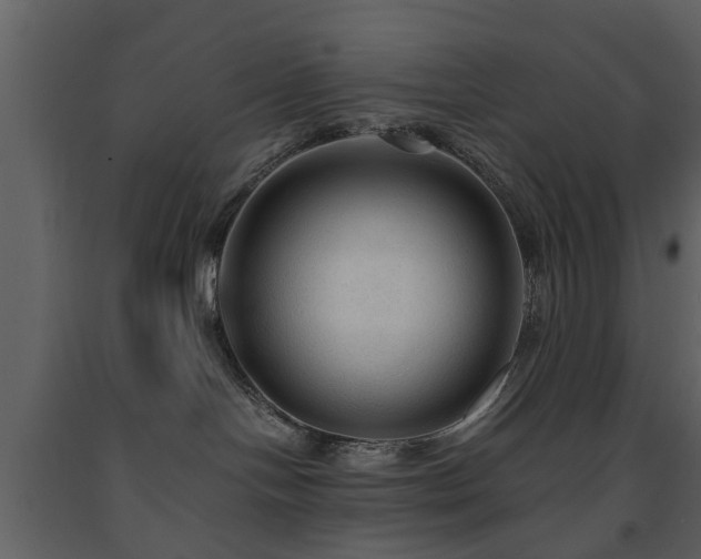 X0000091680094200708231427