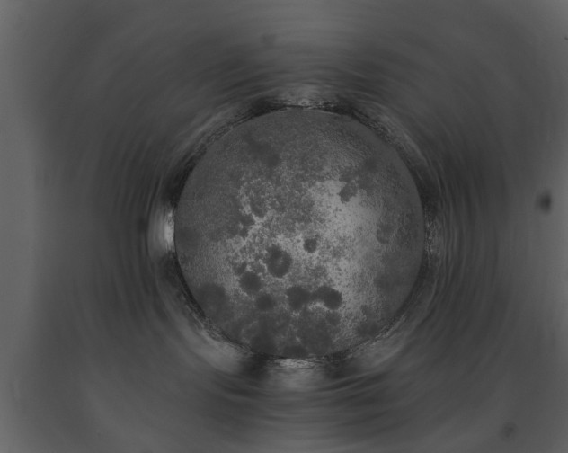 X0000091680095200708231427