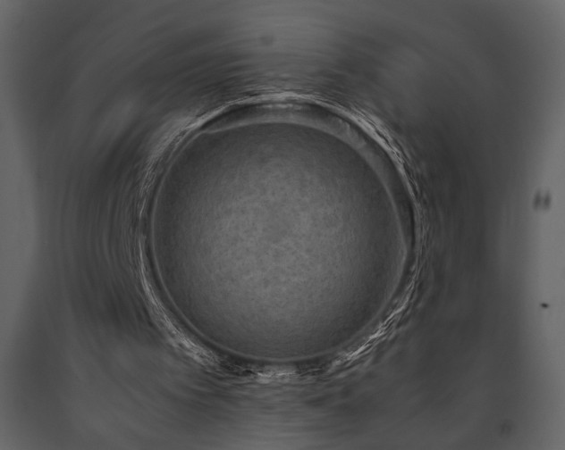 X0000091680097200708231426