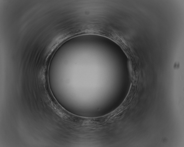 X0000091680098200708231426
