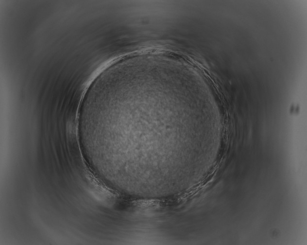 X0000091680100200708231426