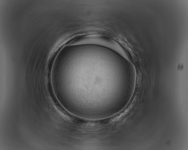 X0000091680101200708231426