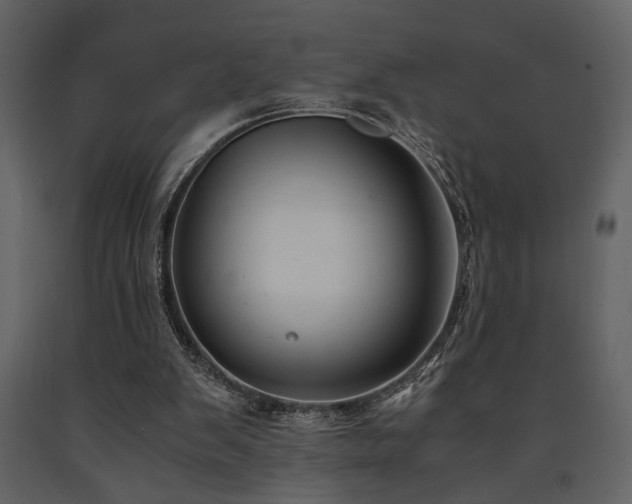 X0000091680103200708231426