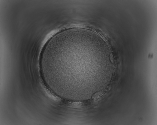 X0000091680104200708231426