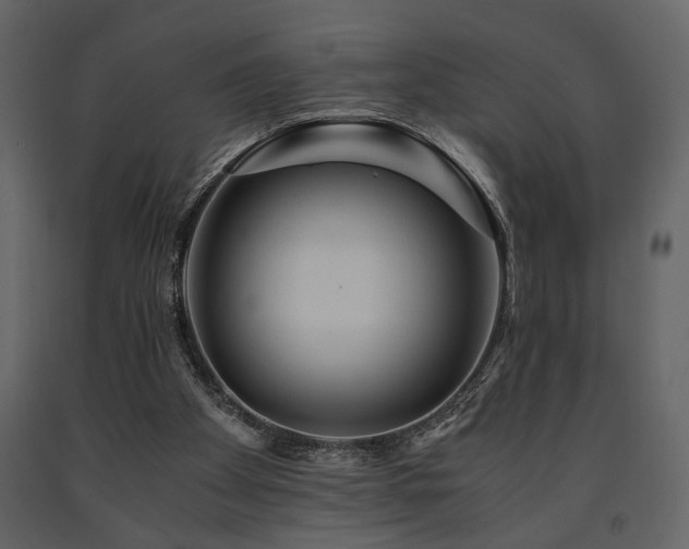 X0000091680105200708231426