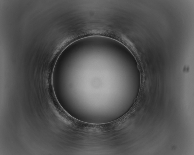 X0000091680106200708231426