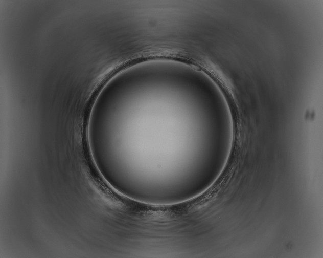 X0000091680107200708231426