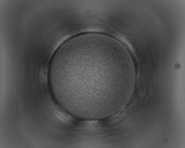 X0000091680108200708231426