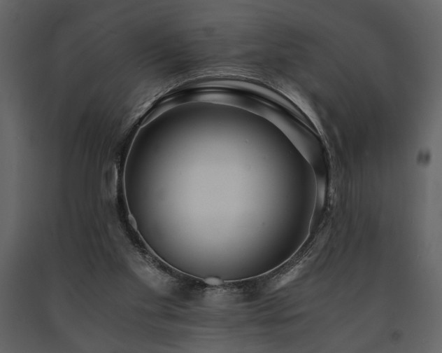 X0000091680109200708231426
