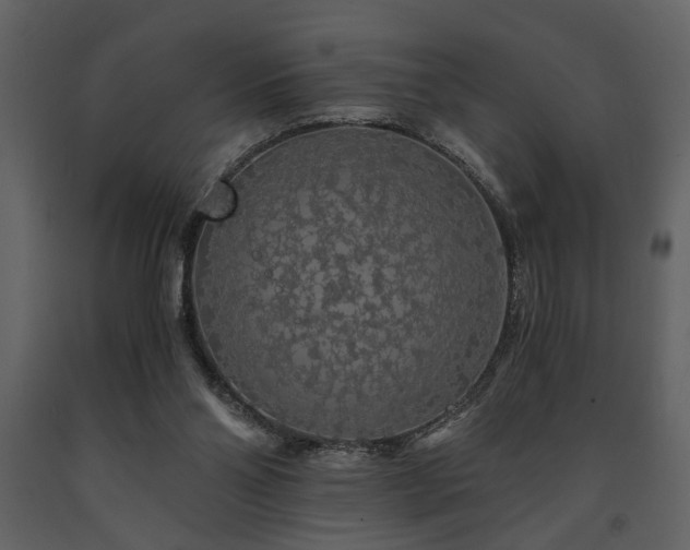 X0000091680110200708231426
