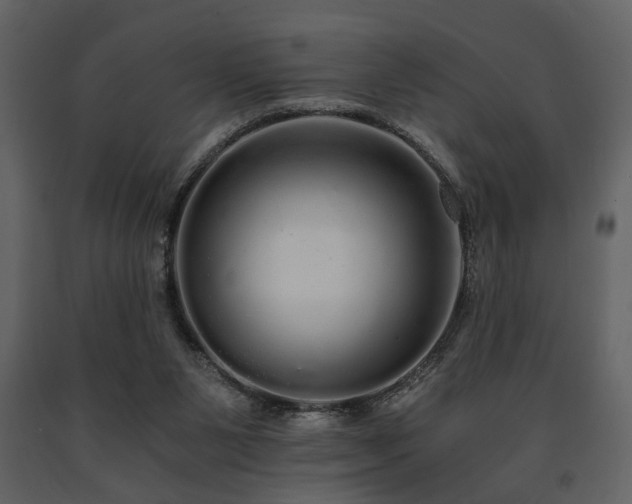 X0000091680111200708231426