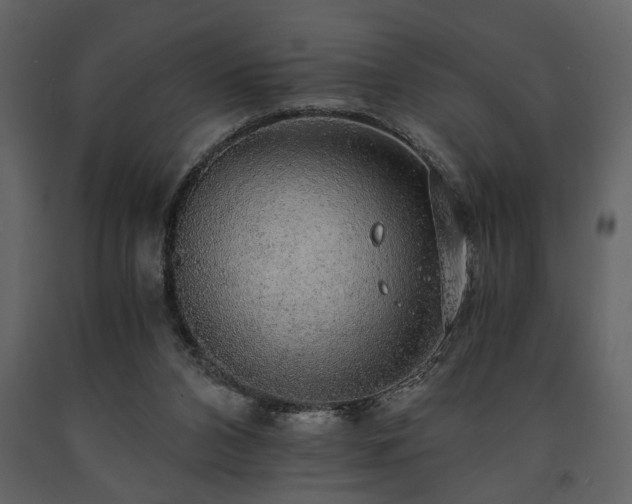 X0000091680112200708231426