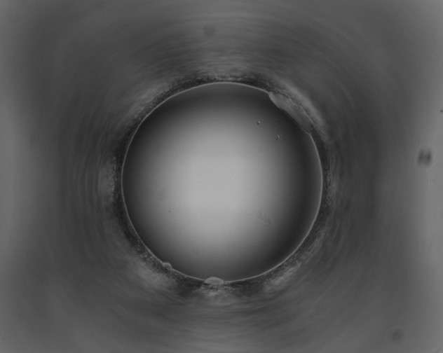 X0000091680113200708231426