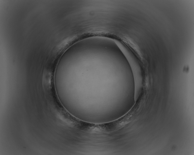 X0000091680115200708231426