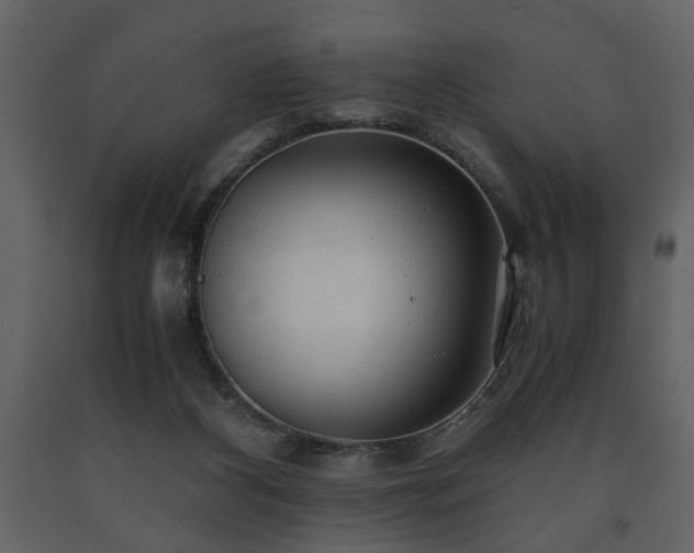 X0000091680116200708231426