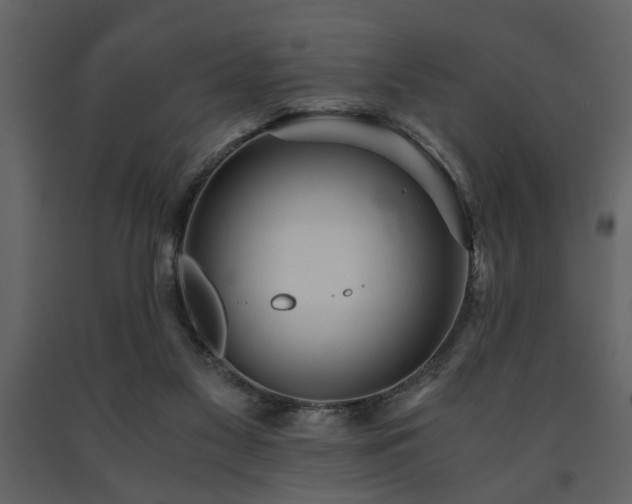 X0000091680117200708231426