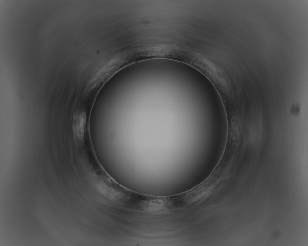 X0000091680118200708231426