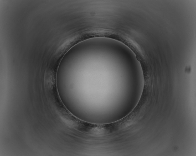 X0000091680119200708231426