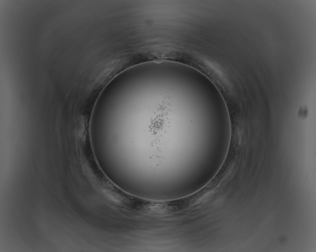X0000091680121200708231426