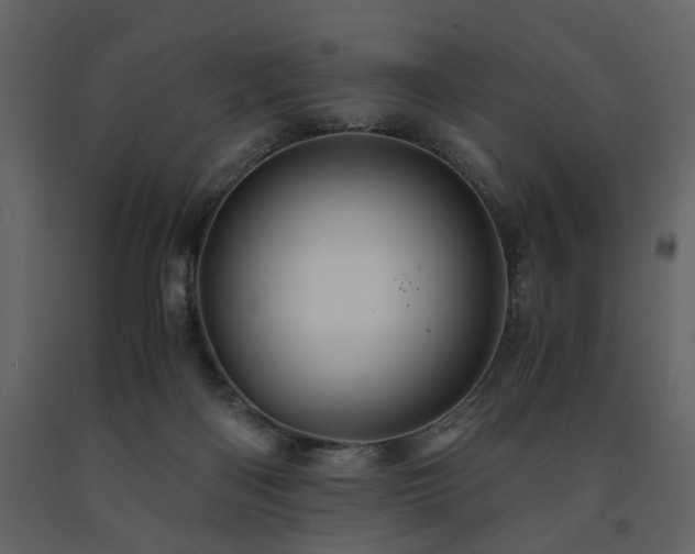 X0000091680122200708231426