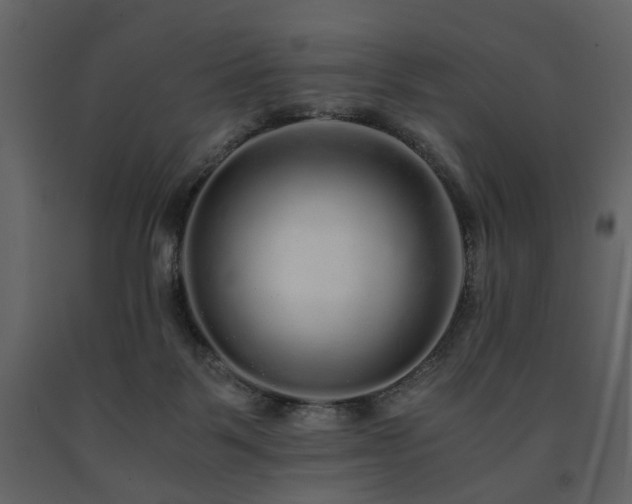 X0000091680123200708231426