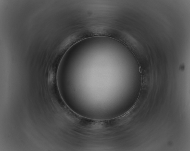 X0000091680124200708231426