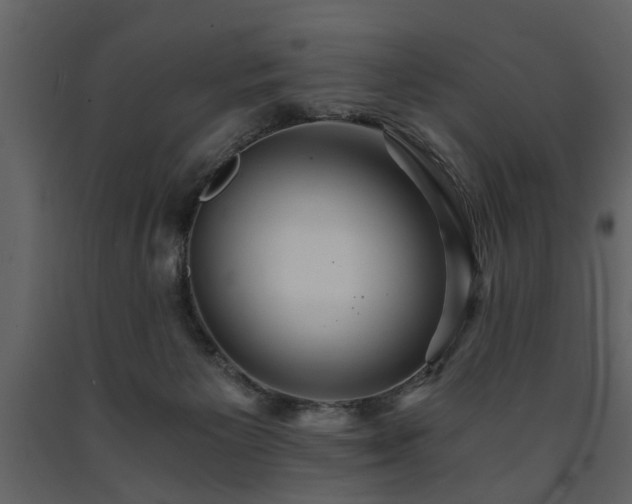 X0000091680125200708231426