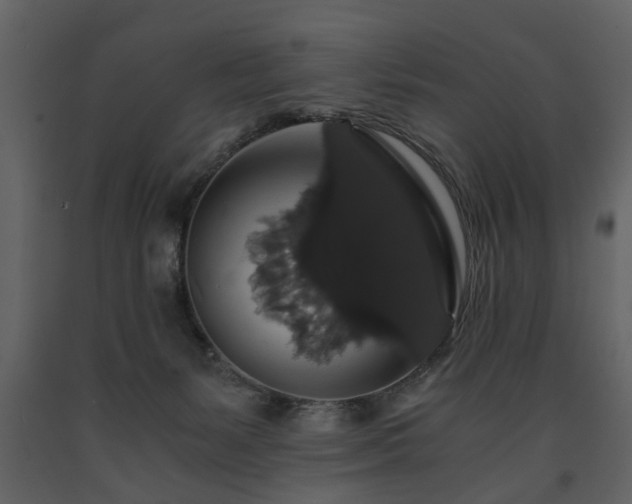 X0000091680127200708231426