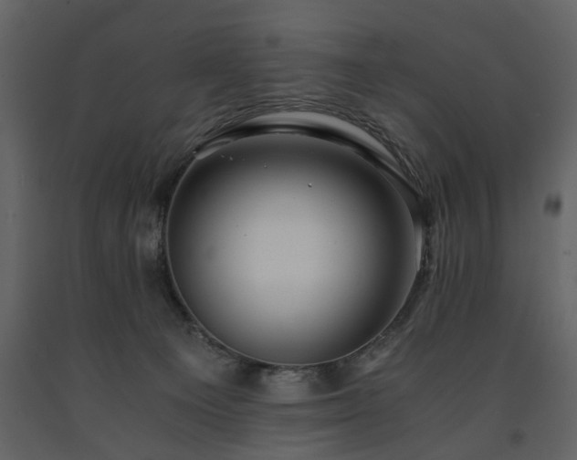 X0000091680129200708231426