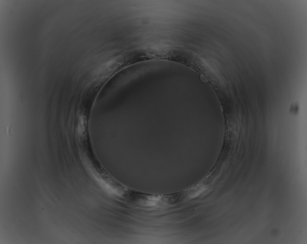 X0000091680130200708231425
