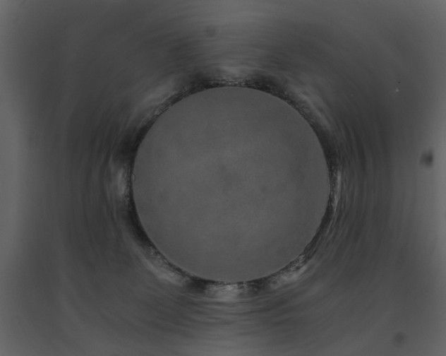 X0000091680131200708231425