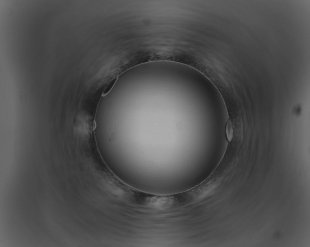 X0000091680135200708231425
