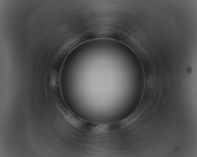X0000091680138200708231425