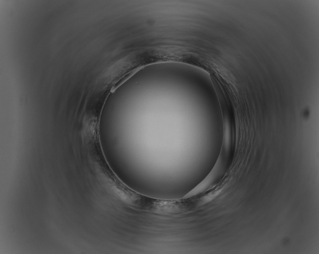 X0000091680141200708231425