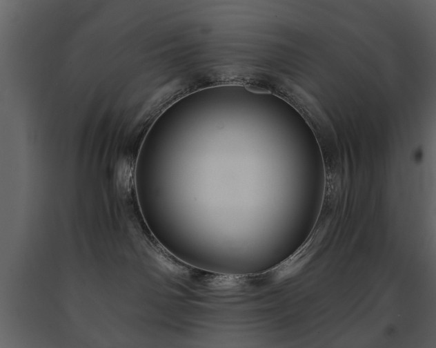 X0000091680142200708231425